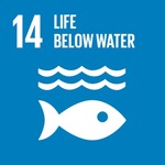 14 - Life Below Water