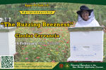 The Buzzing Beezness